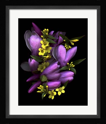 Framed Tulip Magnolia &amp; Jasmine Print