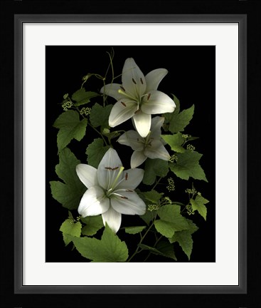 Framed White Lilies '06 Print