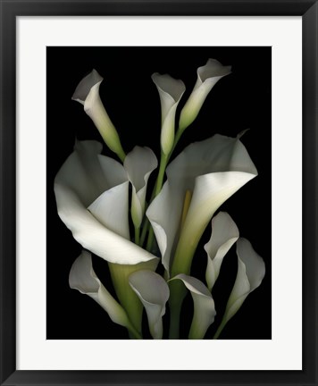 Framed White &amp; Crystal Blue Callas 2 Print