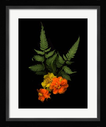 Framed Ferns &amp; Marigolds Print