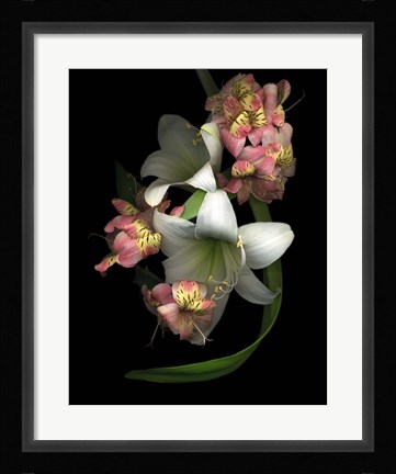 Framed White Amaryllis &amp; Alstromeria Print