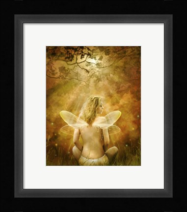 Framed Evening Sun Print