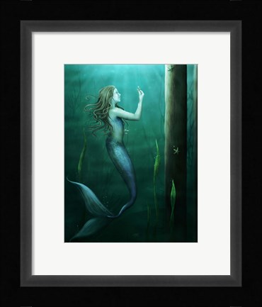 Framed Curiosity Print