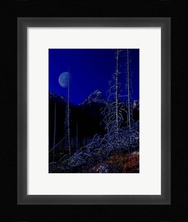 Framed Teton J Print