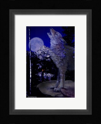 Framed Blue Moon Print