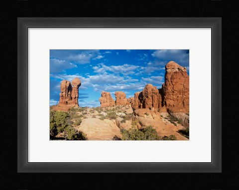 Framed Arches C Print