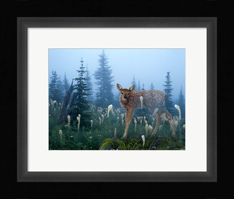 Framed Fawn Memories Print