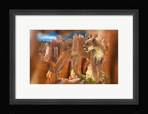 Framed Hidden Canyon 7 Print