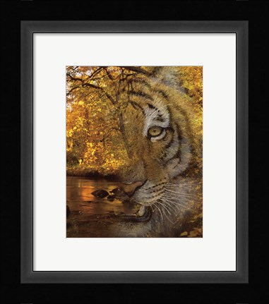 Framed Fade To Night Print