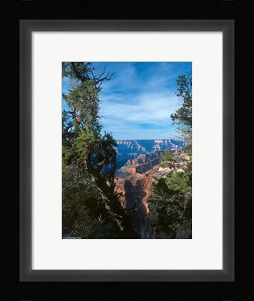 Framed Grand Canyon E Print