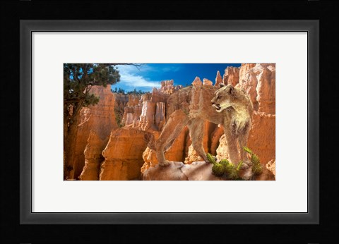 Framed Hidden Canyon 2 Print
