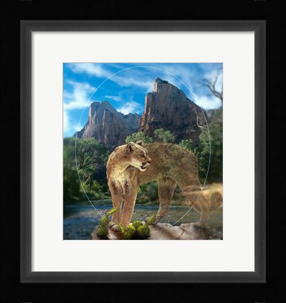 Framed Lion Of Zion Print