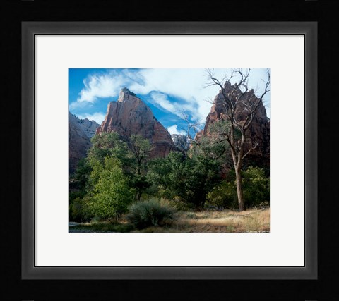 Framed Zion B Print