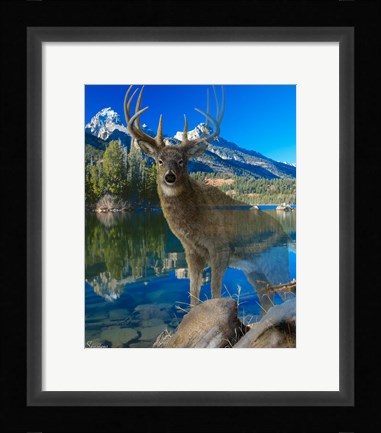 Framed Point Of View 2 Print