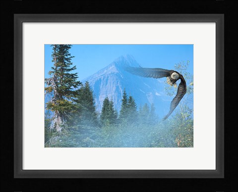 Framed Silent Approach Print