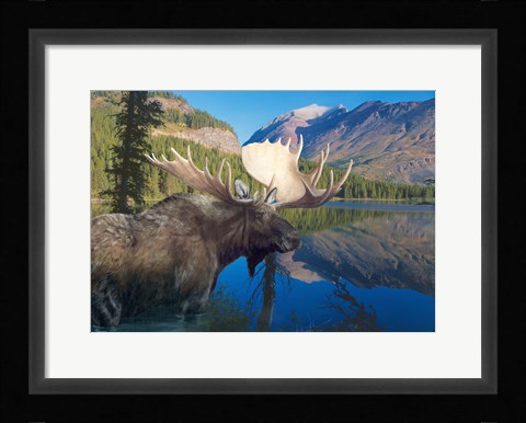 Framed Morning Time Print