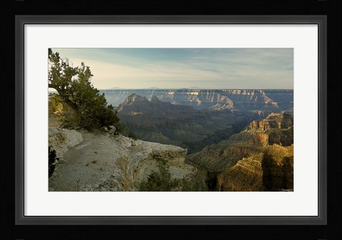 Framed Grand Canyon B Print