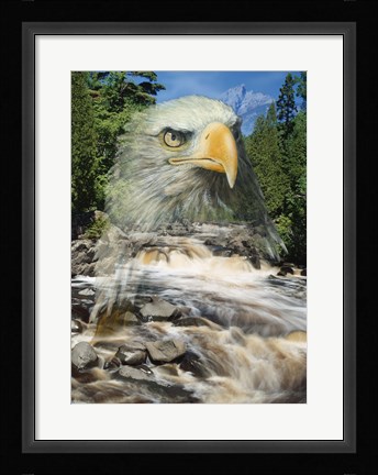 Framed From Above Print