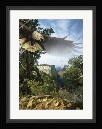 Framed Above The Rim Print