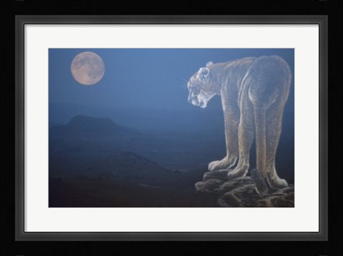 Framed Tiger And Full Moon Print