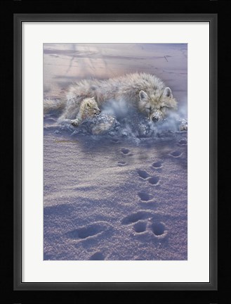 Framed Arctic Tracks Print