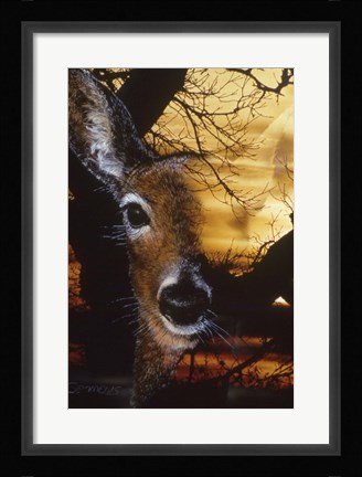 Framed Staying Safe 2 Print