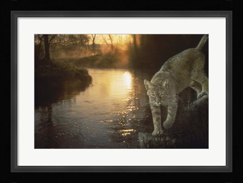 Framed Misty Water Morn Print