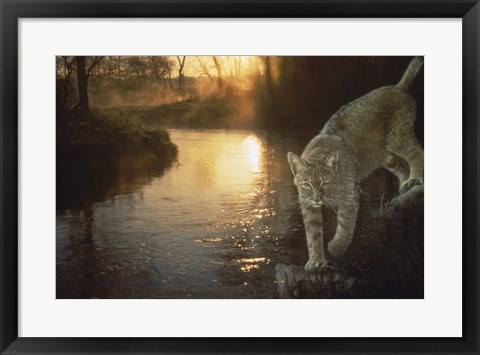 Framed Misty Water Morn Print