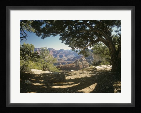 Framed Grand Canyon D Print