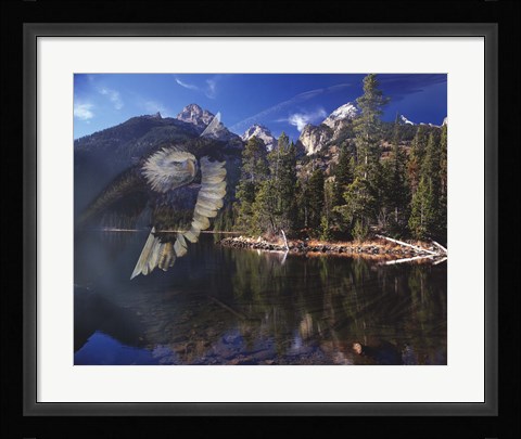 Framed Phantom Print