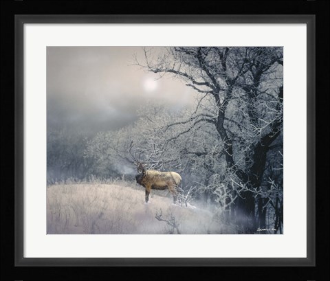 Framed Sanctuary Print