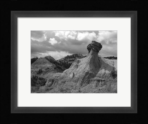 Framed Theodore Roosevelt National Print