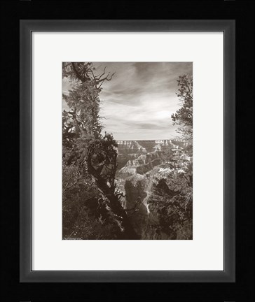 Framed Sepia Grand Canyon 2 Print