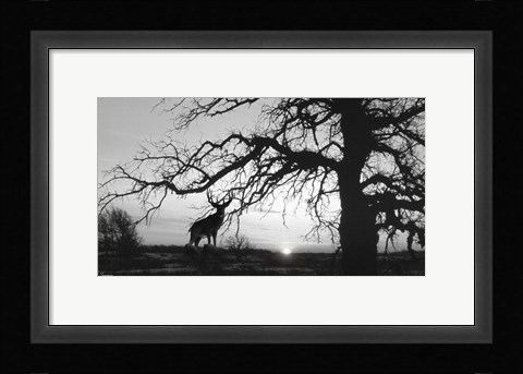 Framed Silhouette Print