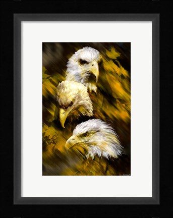 Framed Eagle Three Print
