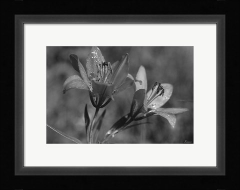 Framed Wildflowers 3 Print