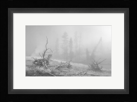 Framed Yellowstone 3 Print