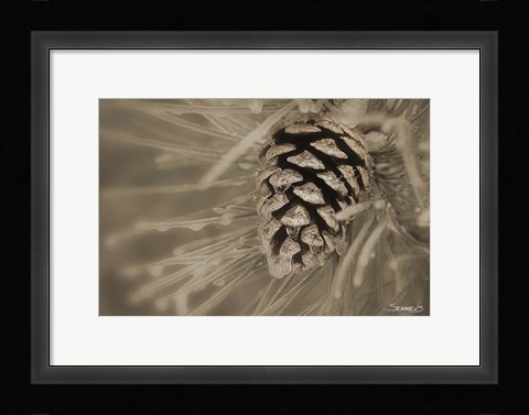 Framed Frosted Acorn And Pine Needles Print