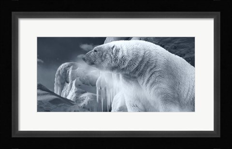Framed Arctic Frost Print