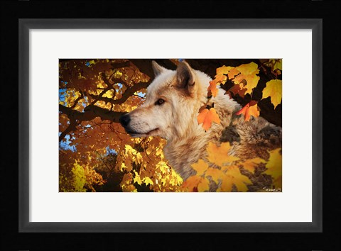 Framed Autumn Leaves and Wolf Print