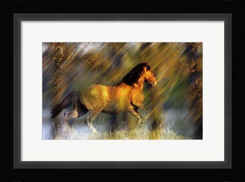 Framed Wild Horses in the Badlands II Print