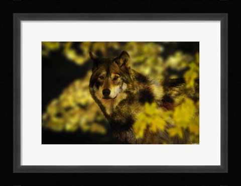 Framed Gold Shadows Print