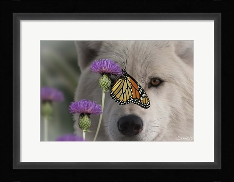Framed Monarch and Wolf Print