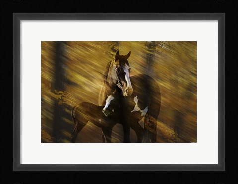 Framed Wild Horses in the Badlands I Print