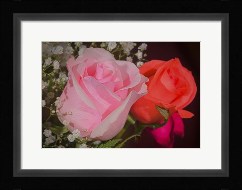 Framed Roses Pink And Red Print