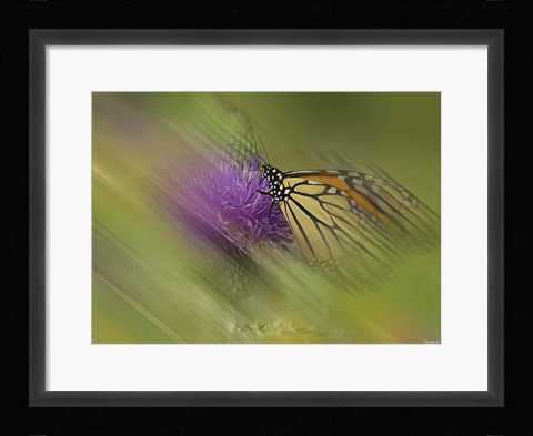 Framed Natural Motif V Print
