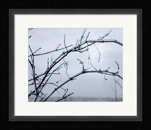 Framed Ice Branch 1 Print
