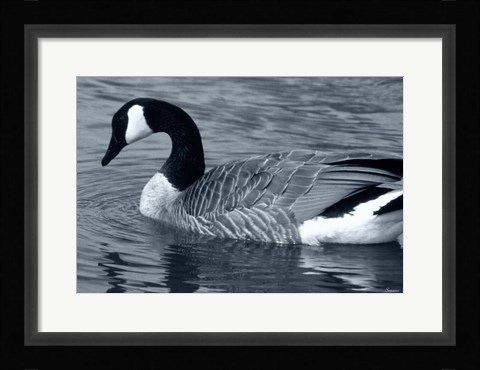 Framed S Goose Print