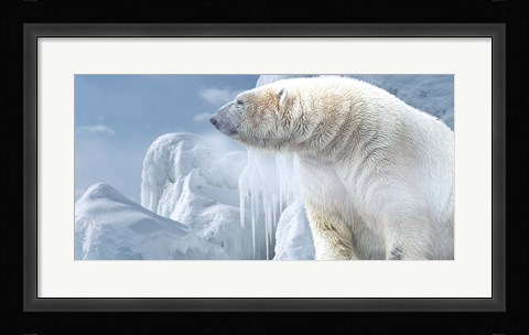 Framed Arctic Frost Bear Print