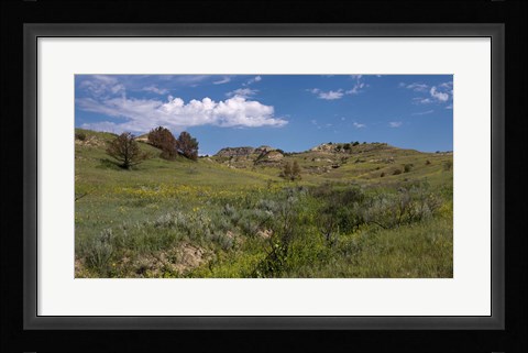 Framed Yellow Wildflowers And Mountains Print